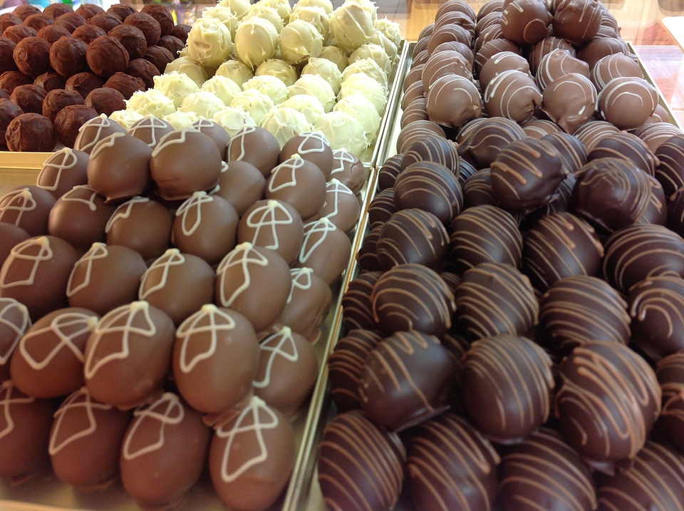 Chocolate salt bug chocolatier