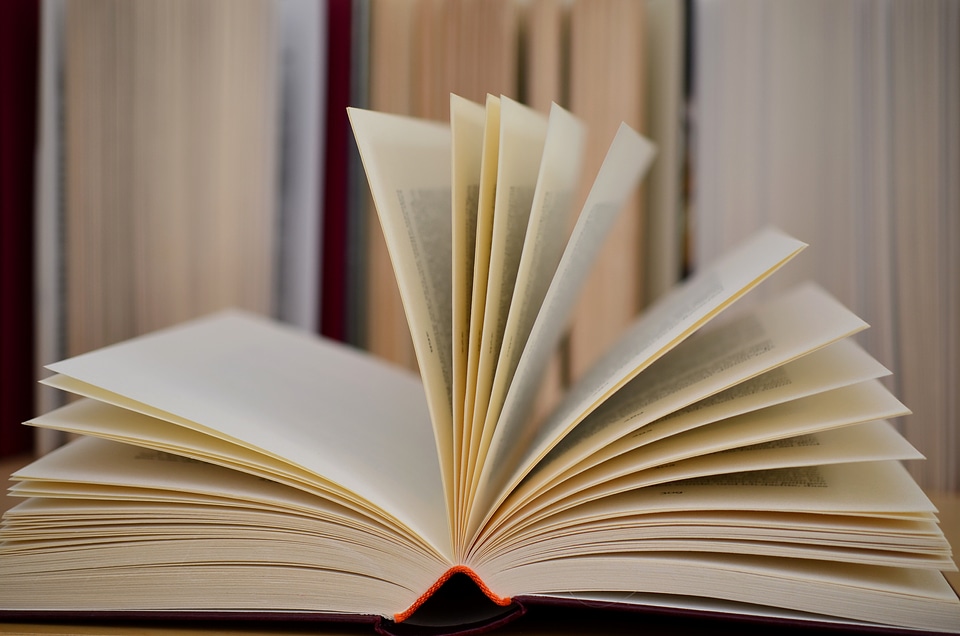 Literature paper study