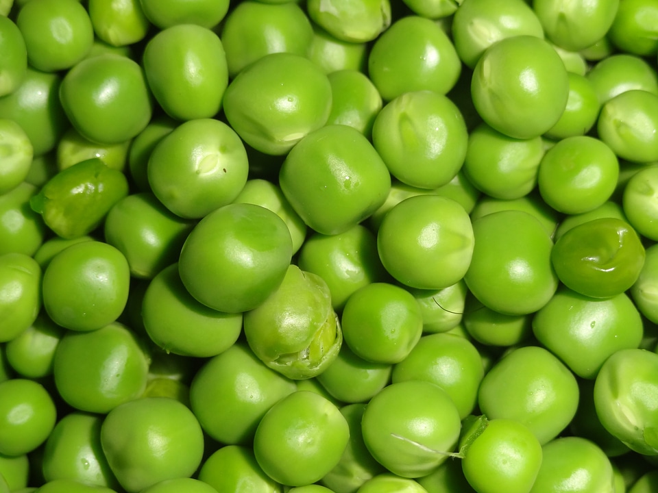 Vegetable food healthy