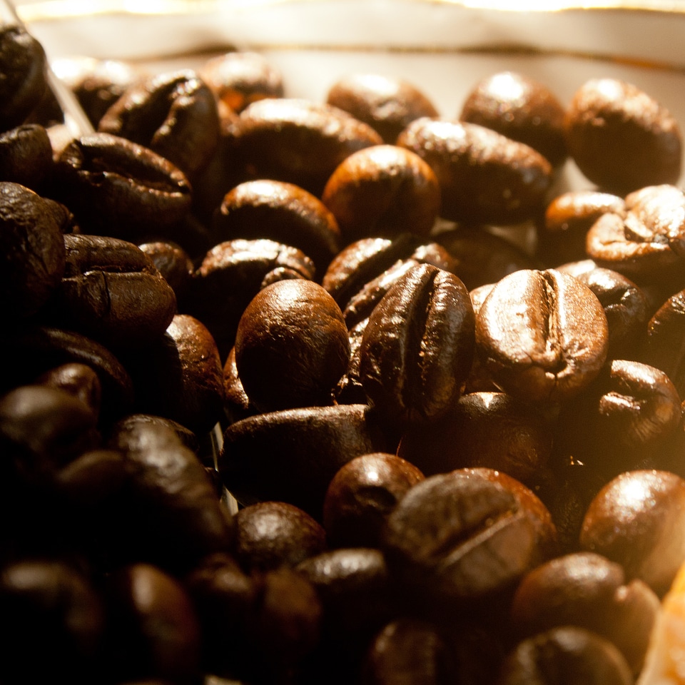 Coffee Beans Brown