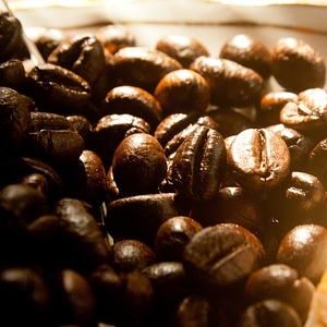 Coffee Beans Brown photo