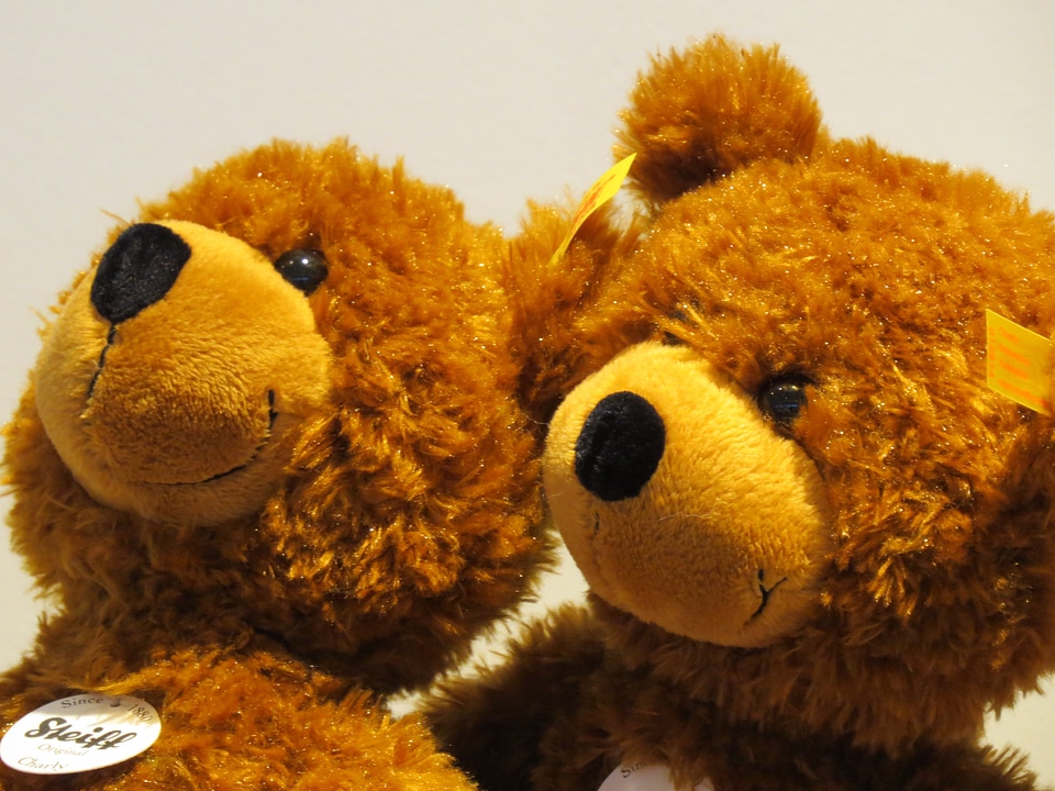 Soft toy teddy bear snuggle
