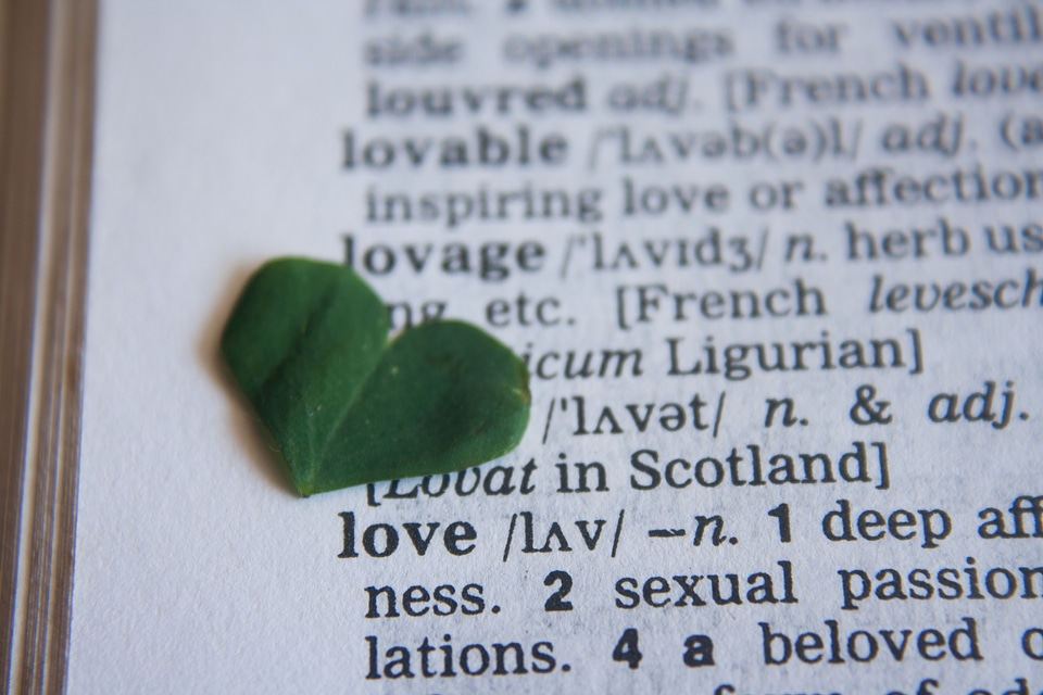 Love Heart On Dictionary