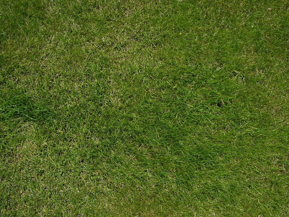 Nature outdoors texture