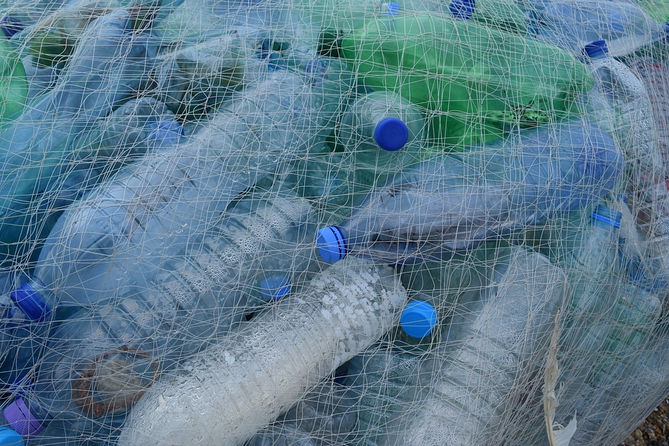 Bottle beach cleanup