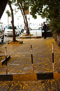Pavement Footpath Mumbai