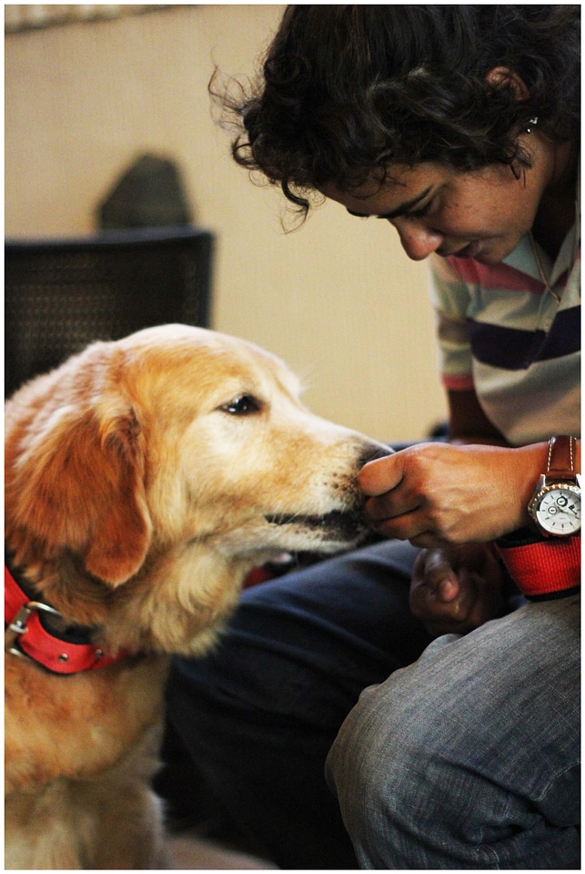 Dog Owner Relationship