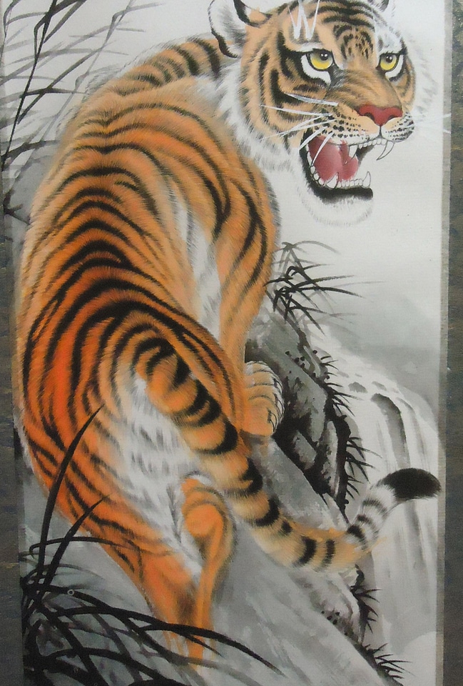 Design wildlife drawing