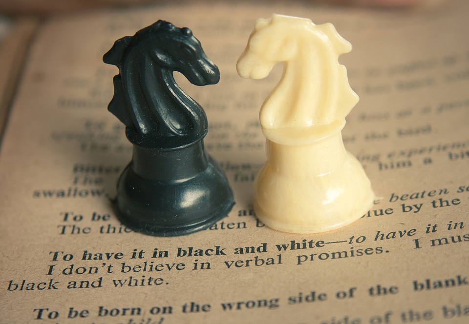 Black And White Horses