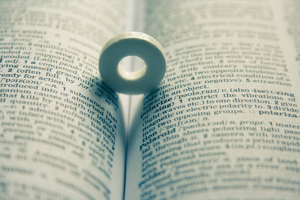 Polarize Meaning Dictionary