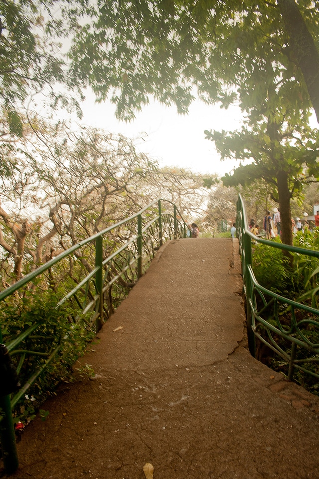 Slope Pathway In Garden