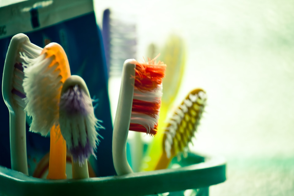Toothbrush Bristles