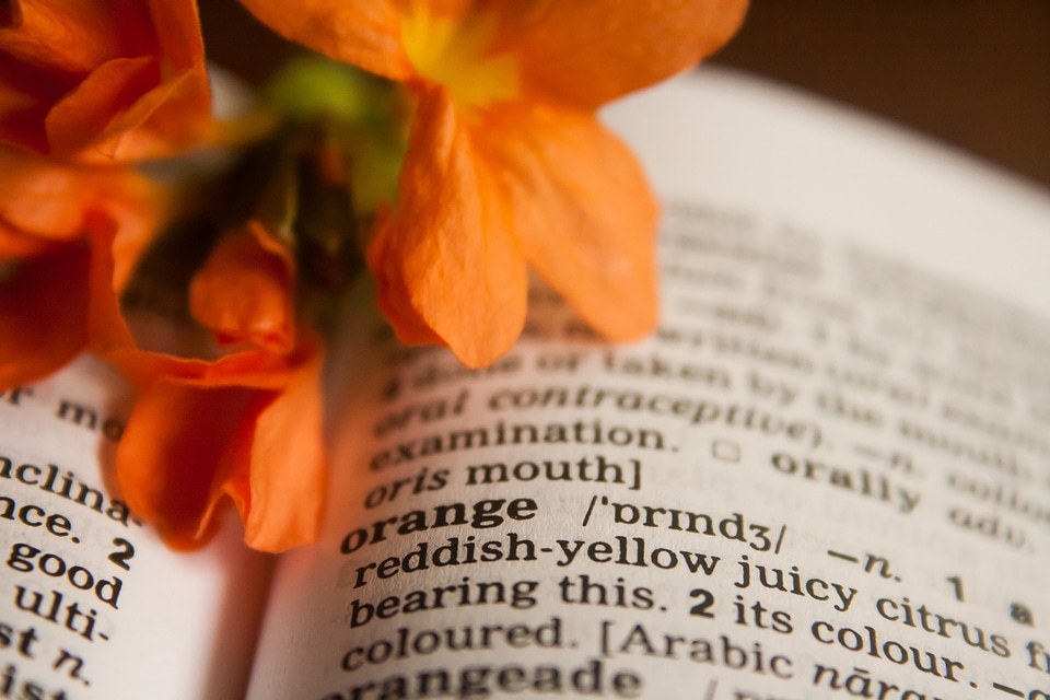 Orange Word Meaning