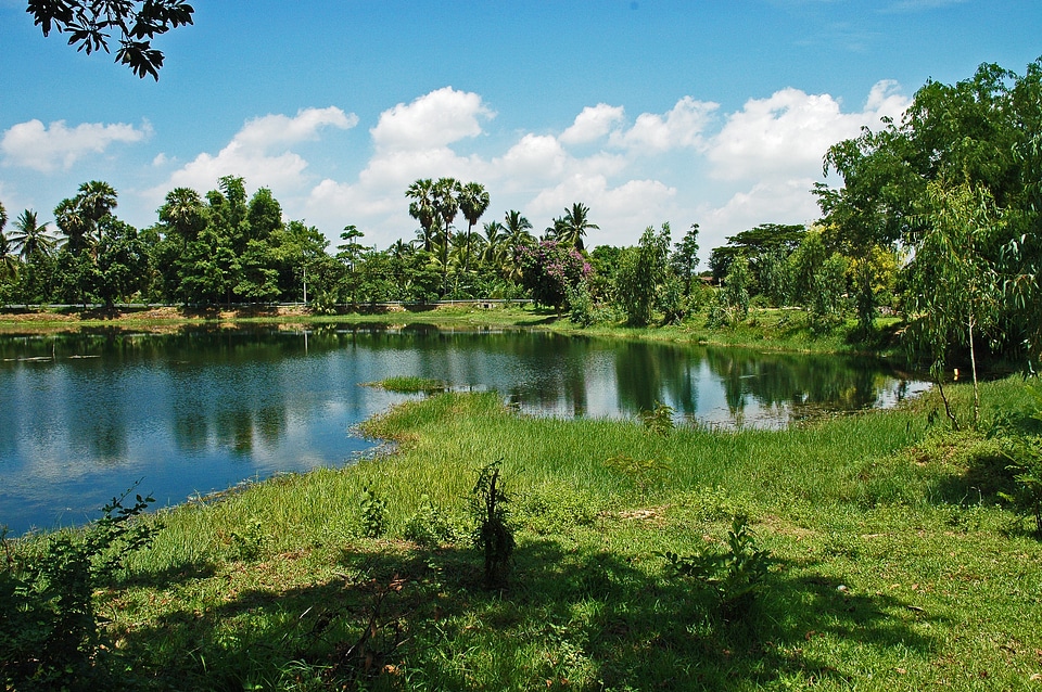 Khorat thailand landscape