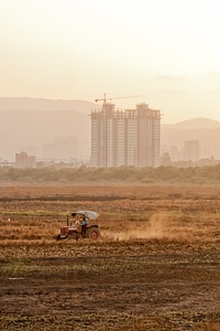 Farmer Fields photo