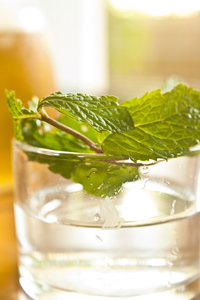 Leaf Drink Glass