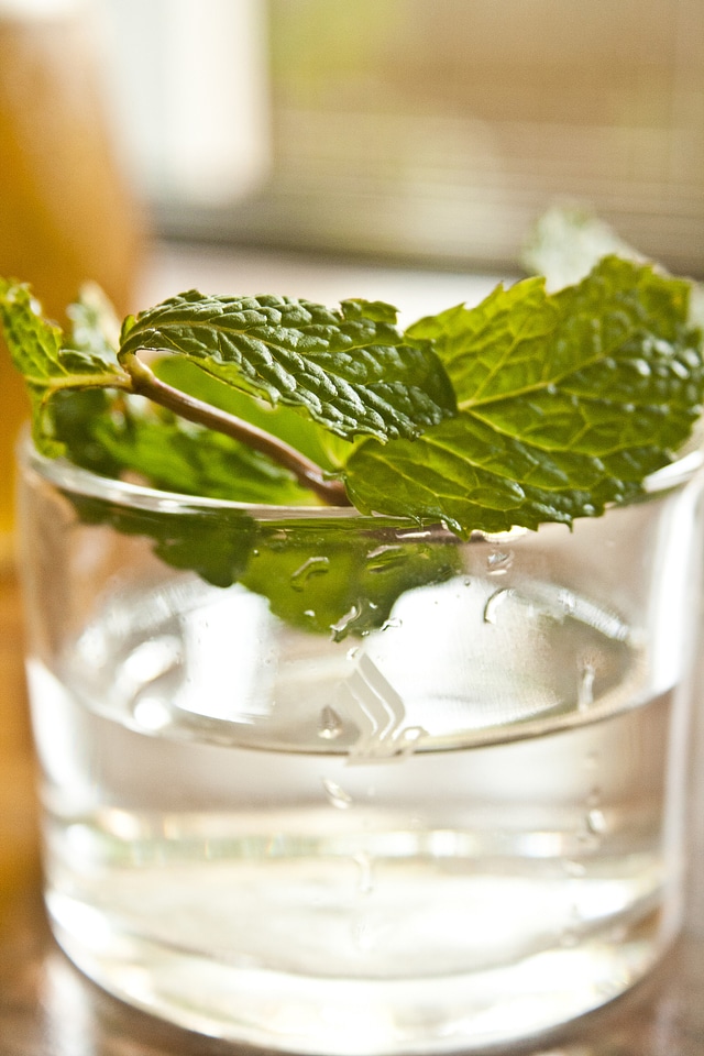 Leaf Glass