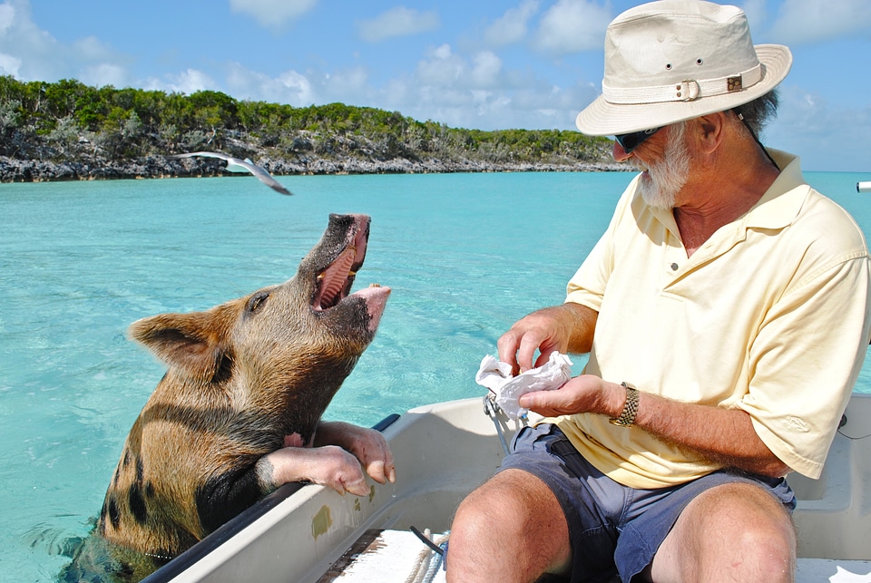 Bahamas island caribbean photo