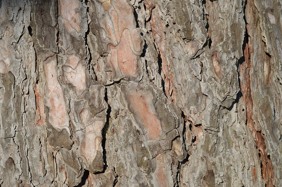 Wood brown weathered
