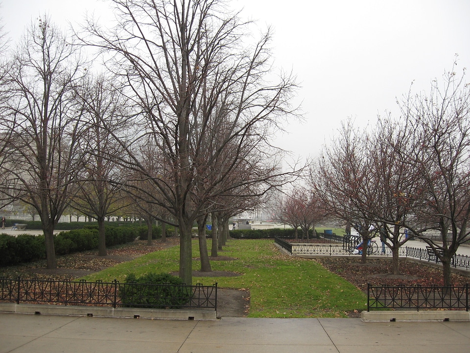Chicago Garden Usa