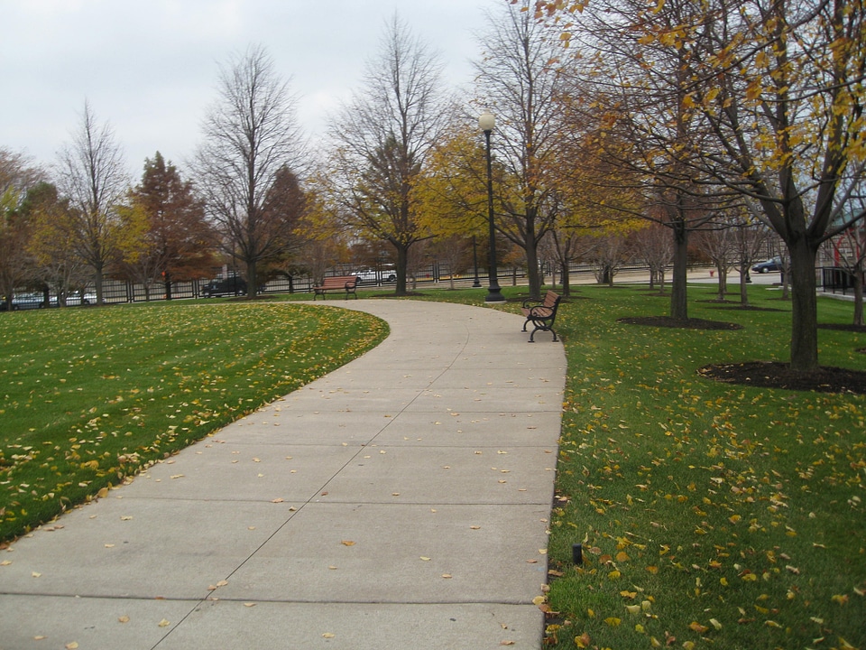 Garden Bench Path Chicago Usa