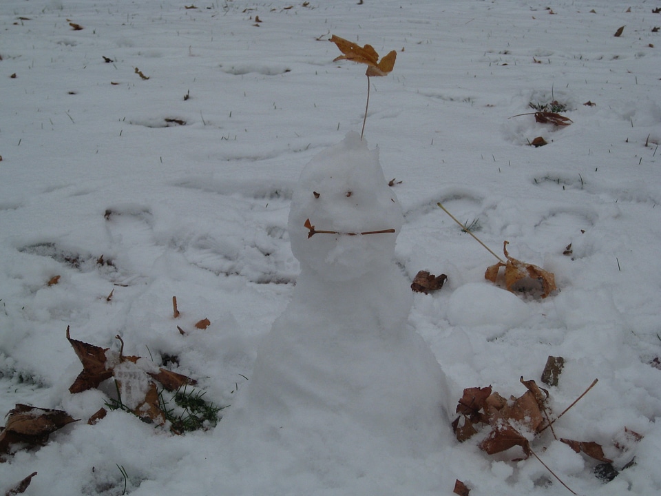 Snowman Winter Snow