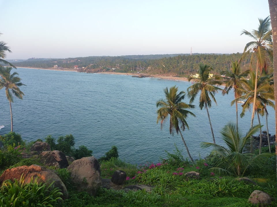 Beautiful Sea View Coconut Trees