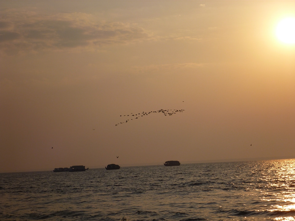 Birds Boats Sun Sea