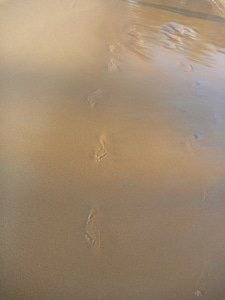 Footsteps In Wet Sand photo