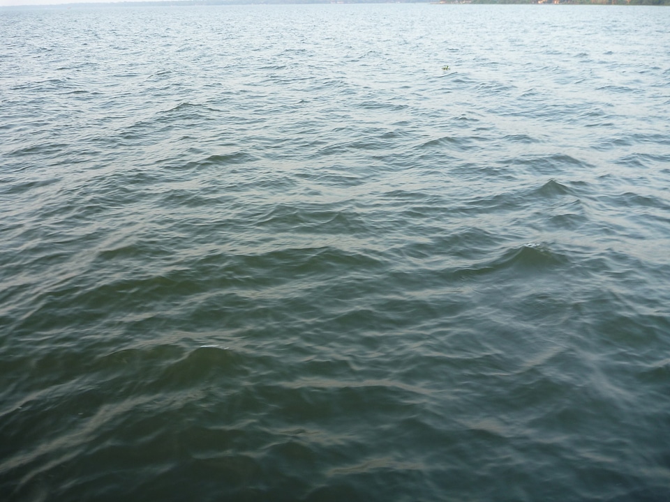 Sea Water Closeup