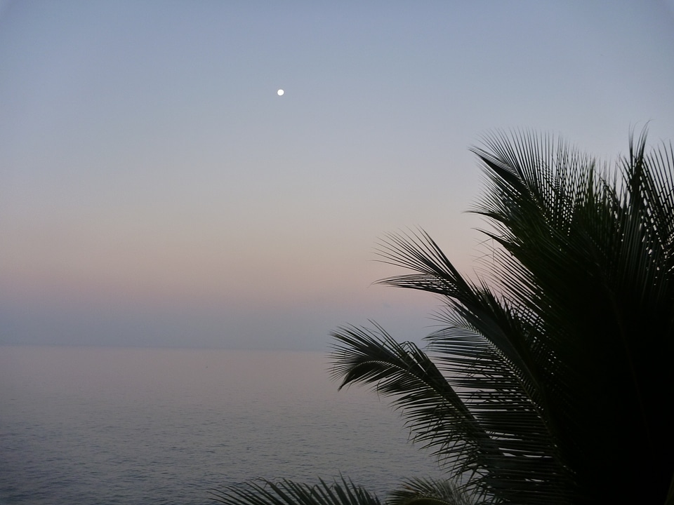 Kerala India Heaven