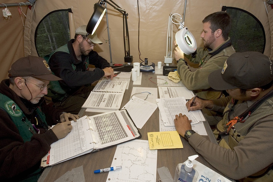 Service biologists reviewing data