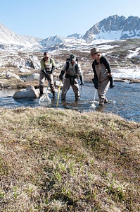 Backpack Electrofishing