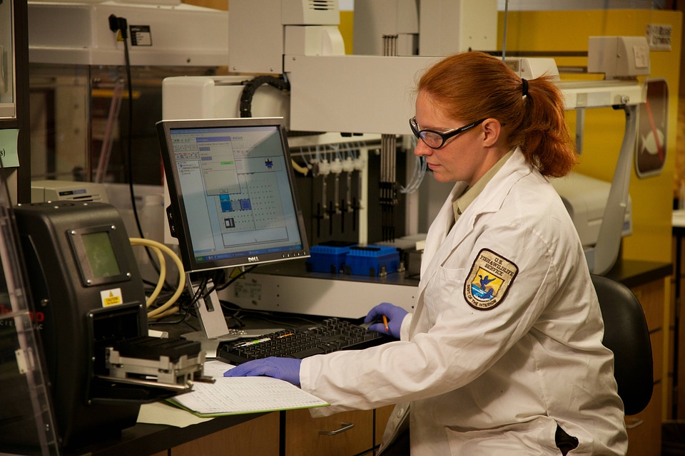 Laboratory analysis by Service geneticist