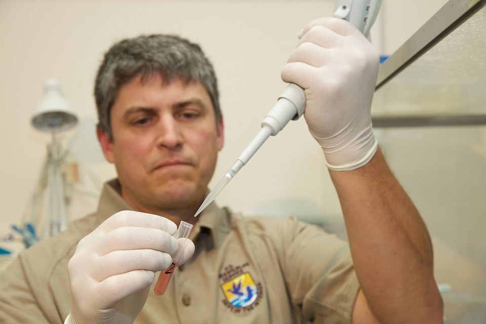 Scientist at Lower Columbia River Fish Health Center