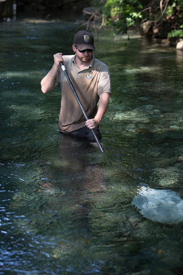 Biologists search for Fountain Darter