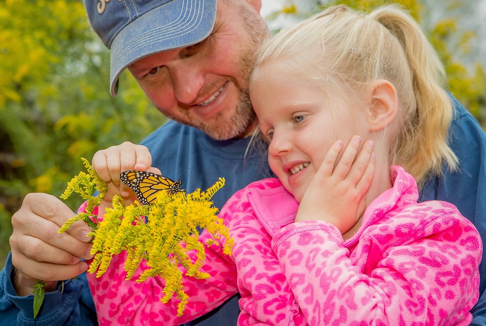 Father and daughter with monarch butterfly on goldenrod flowers