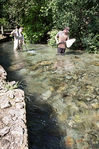 Biologists search for Fountain Darter-1