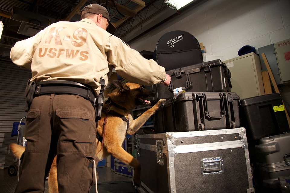 Law enforcement with K-9-1
