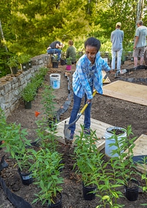 Volunteer planting a monarch garden