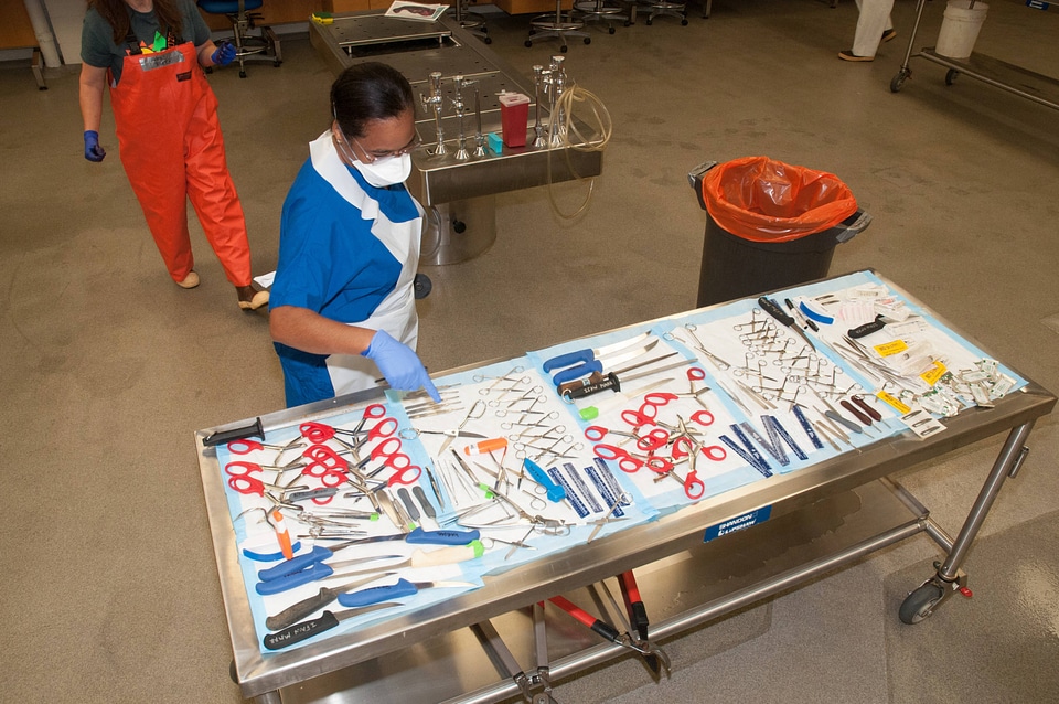 Marine Mammal Stranding Course at NCTC-1