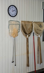 Nets hanging in Broodstock area in Sturgeon Building