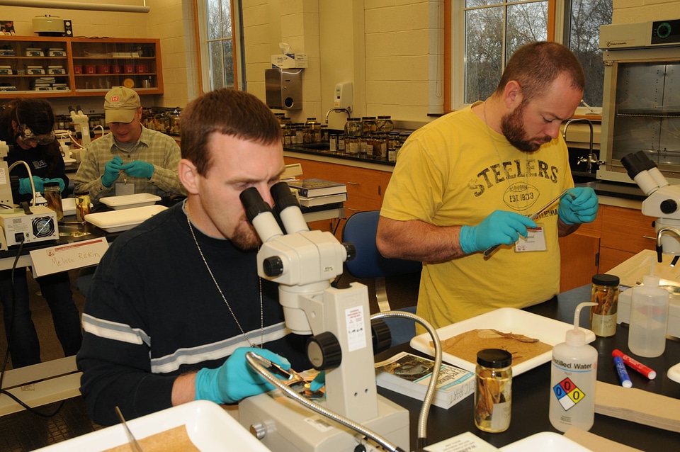 Students identifying fish
