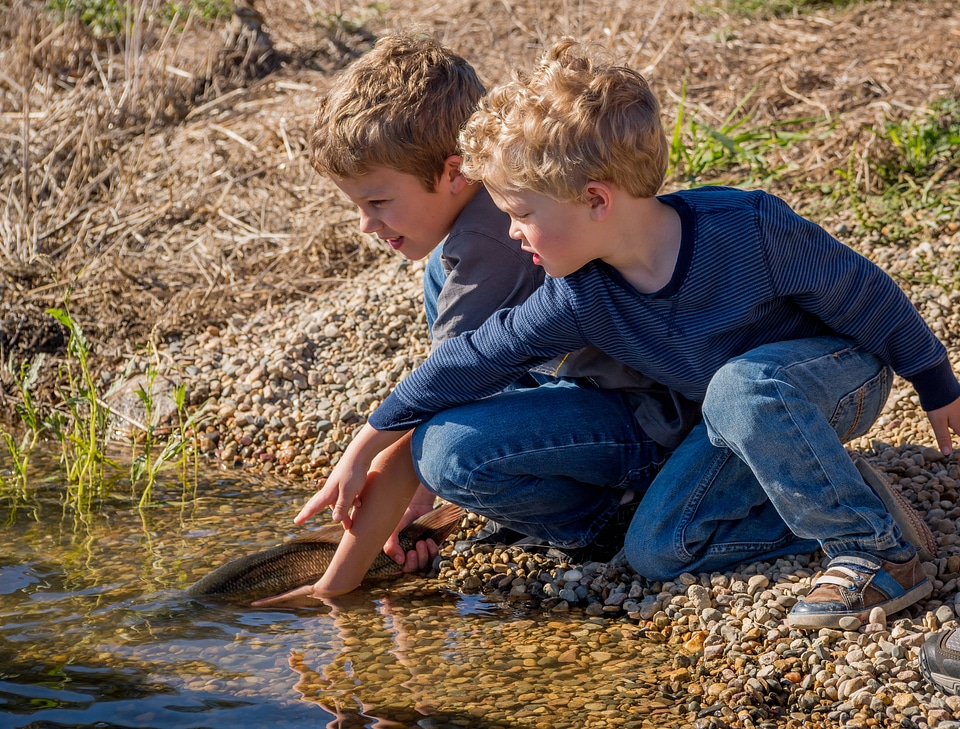 Two boys release fish