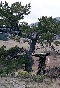 Hunting with recurve bow
