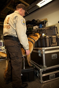 Law enforcement with K-9-1