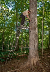 NCTC land management specialist inspecting deer stand for safety