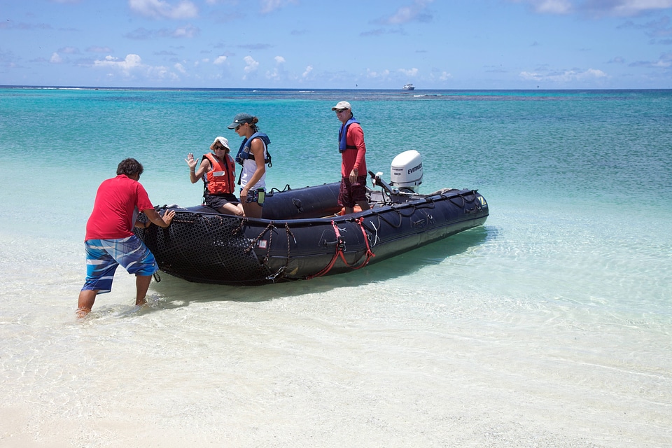 Nihoa Millerbird Translocation