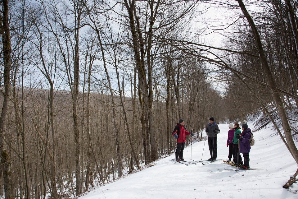 Cross-country skiing and snowshoeing