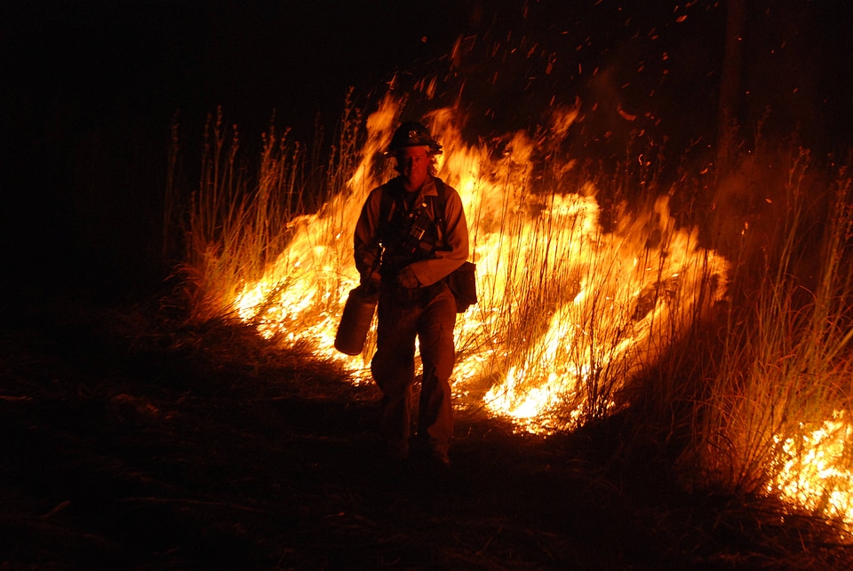 Wildfire